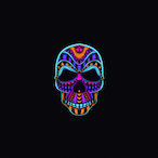 Duck_Farkies's Avatar'
