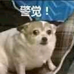 KKTN-li's Avatar'