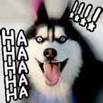 Phantom-404's Avatar