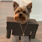 jakejaquavion's Avatar'