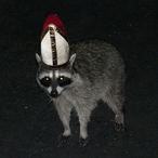LegandarySauces's Avatar'