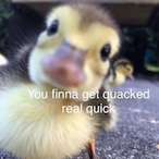 FinnaGetQuacked's Avatar'