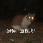 TianRuoXiXuan's Avatar'