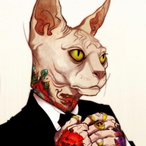 DF_HP's Avatar'