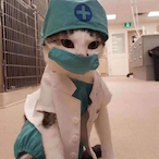 Heal_Cat's Avatar'