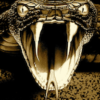 ChekySNeK's Avatar'