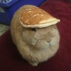 woebegone1's Avatar'