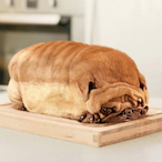 Pug.Bread's Avatar'