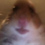 TMAssassins's Avatar'
