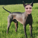 LuicoRL's Avatar'