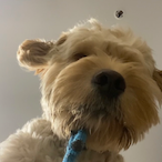 zach.qc.com's Avatar'