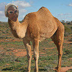 BranChan1020's Avatar'