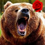 Rosebear's Avatar'