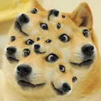 DogieMomo's Avatar'