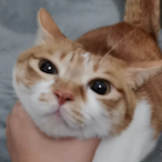 ang-and-itself's Avatar'