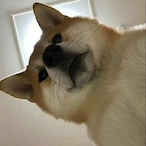 YULUO_kl's Avatar'