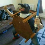 milleraiden345's Avatar'