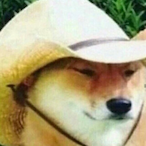 Sky_Foogle's Avatar'