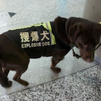 BilboBanger's Avatar'