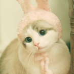 marCraxkedU's Avatar'