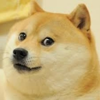 SPROCKERDOG's Avatar'