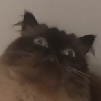 Reaper3387's Avatar'