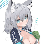 SilverWolfLv999's Avatar'