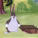 TheBigChunguss's Avatar'
