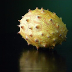 Kiwanos's Avatar'