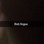 BobFingus's Avatar'