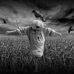 CrowDevil_Leve5's Avatar'