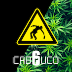 Alyuzi.Cabouco's Avatar'