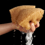 OneMoistSponge's Avatar'