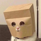 cup_o_cofee's Avatar'