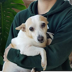 SauroGamerPlay's Avatar'