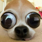 Poltato.DeathG's Avatar'