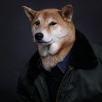 TLTRazzito's Avatar'