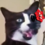 Zak_Bagans_Real's Avatar'