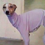 Hiimdevine's Avatar'