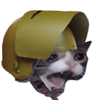 Dimensional_Hat's Avatar'