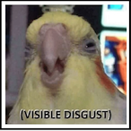 SaintDeath_'s Avatar'