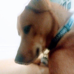hugojake's Avatar'