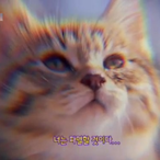 Theory8247's Avatar'