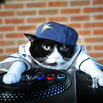 Danny-Nvidia's Avatar