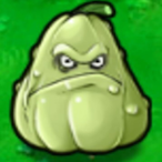squash..'s Avatar'