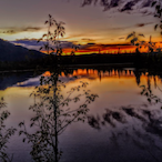 BB blogs515339's Avatar'