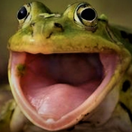 FrogFighterDude's Avatar'