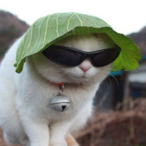 Tomoaki.'s Avatar'