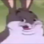 Big_Chungus55's Avatar'