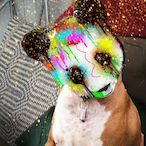 WorlddzRival's Avatar'